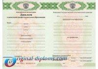 Диплом училища, лицея  2010-2027 год год